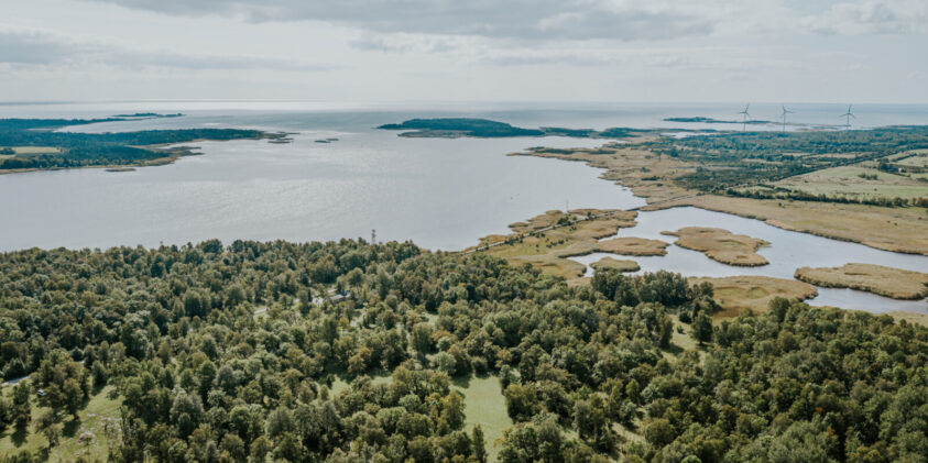 Foto: Viktor Tund