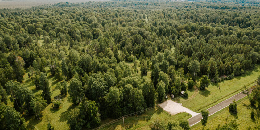 Nedrema puisniit / Foto: Viktor Tund
