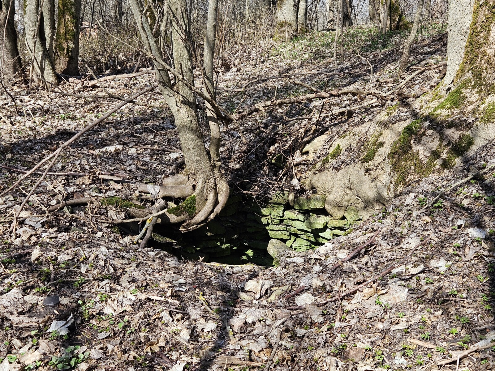 Lihula keskaegse kloostri kaev. Foto: Maigi Magnus
